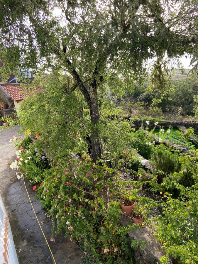 Casas Rurales Tio Antonio Las Rosas  Eksteriør billede